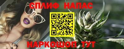 Альфа ПВП Будённовск