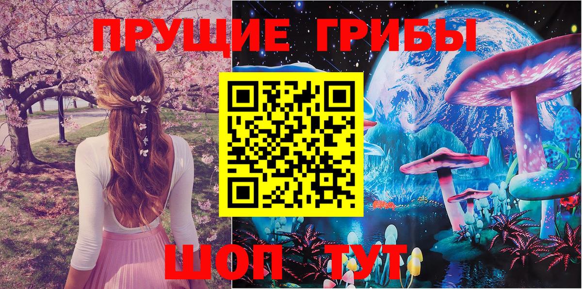 Стерлитамак  дарнет шоп  Вход с VPN  Псилоцибиновые грибы Psilocybe 